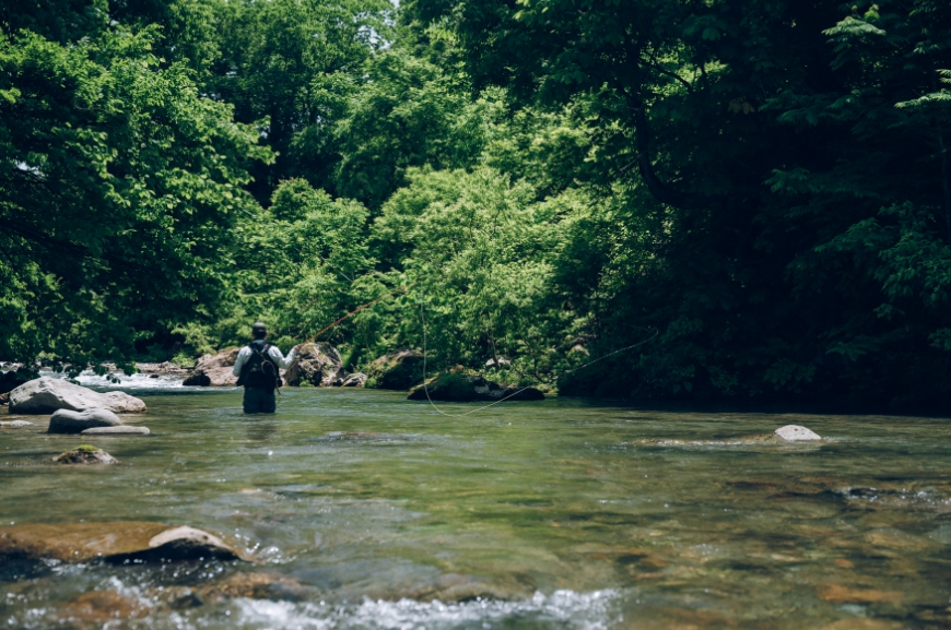 フライフィッシング