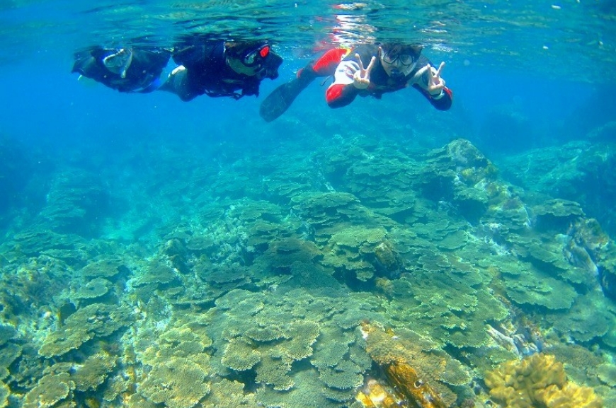 スノーケリング