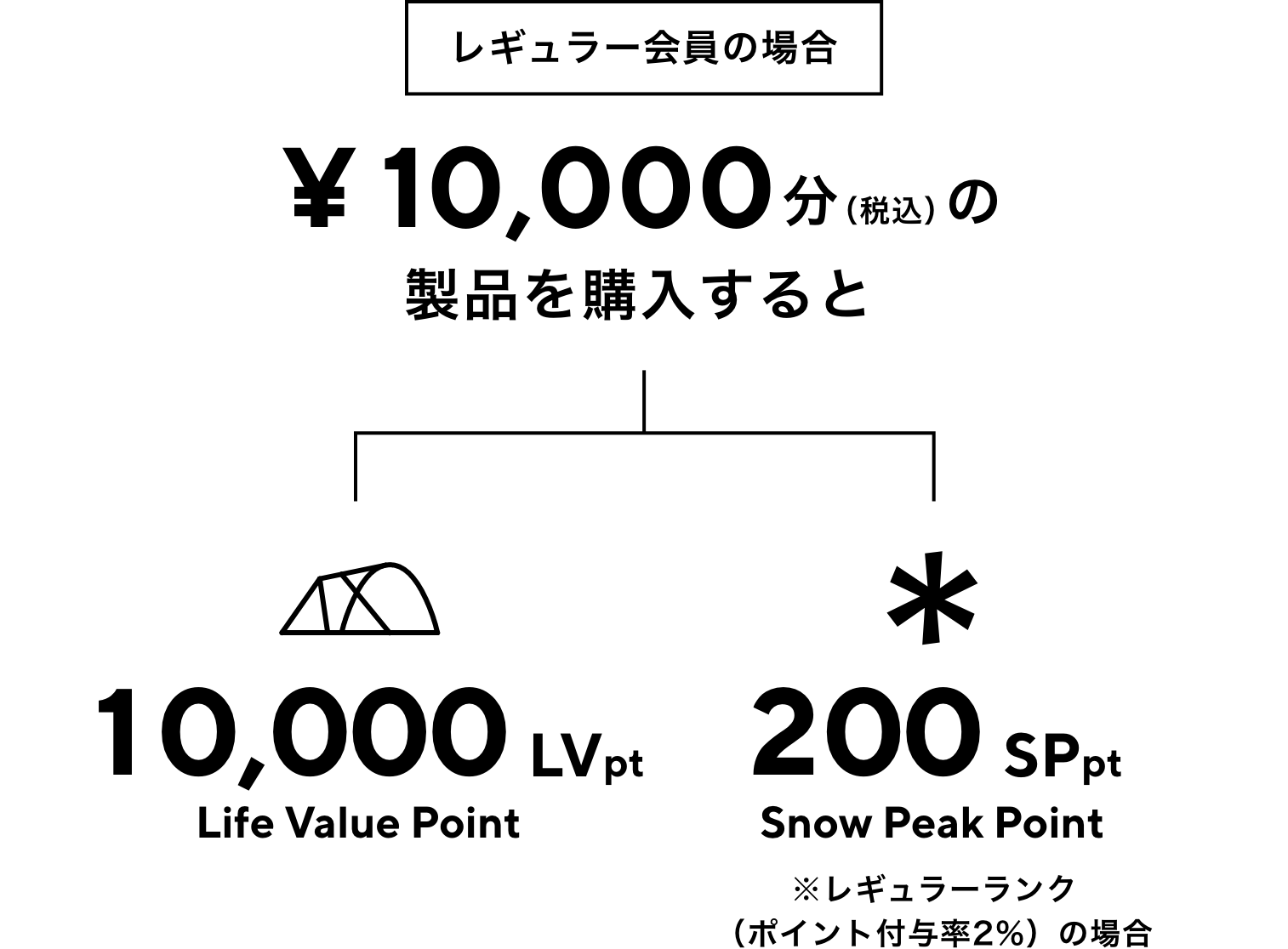 スノーピーク　カタログ　2009〜2023 snow peak プラチナ会員