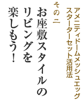 アメニティドームメッシュエッグスターターセットの活用法・お座敷スタイルのリビングを楽しもう！