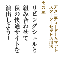 アメニティドームマットスターターセット活用法 リビングシェルと組み合わせて秋の快適サイトを演出しよう！