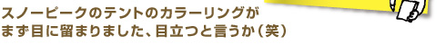 スノーピークのテントのカラーリングがまず目に留りました、目立つというか（笑）