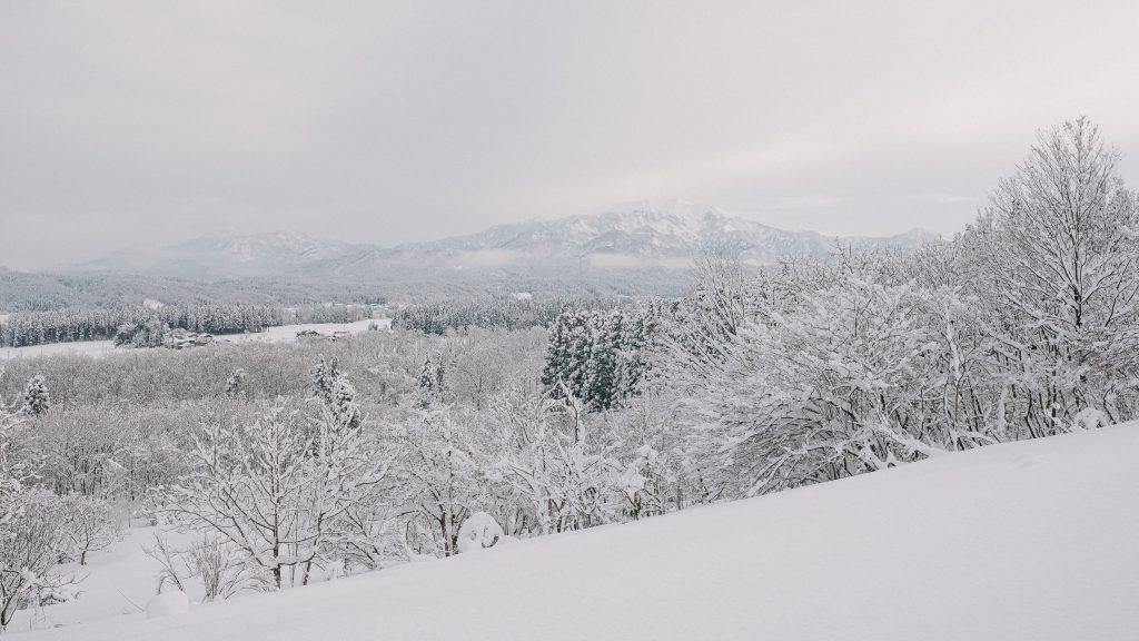 年末年始｜休まず営業いたします | Snow Peak FIELD SUITE SPA