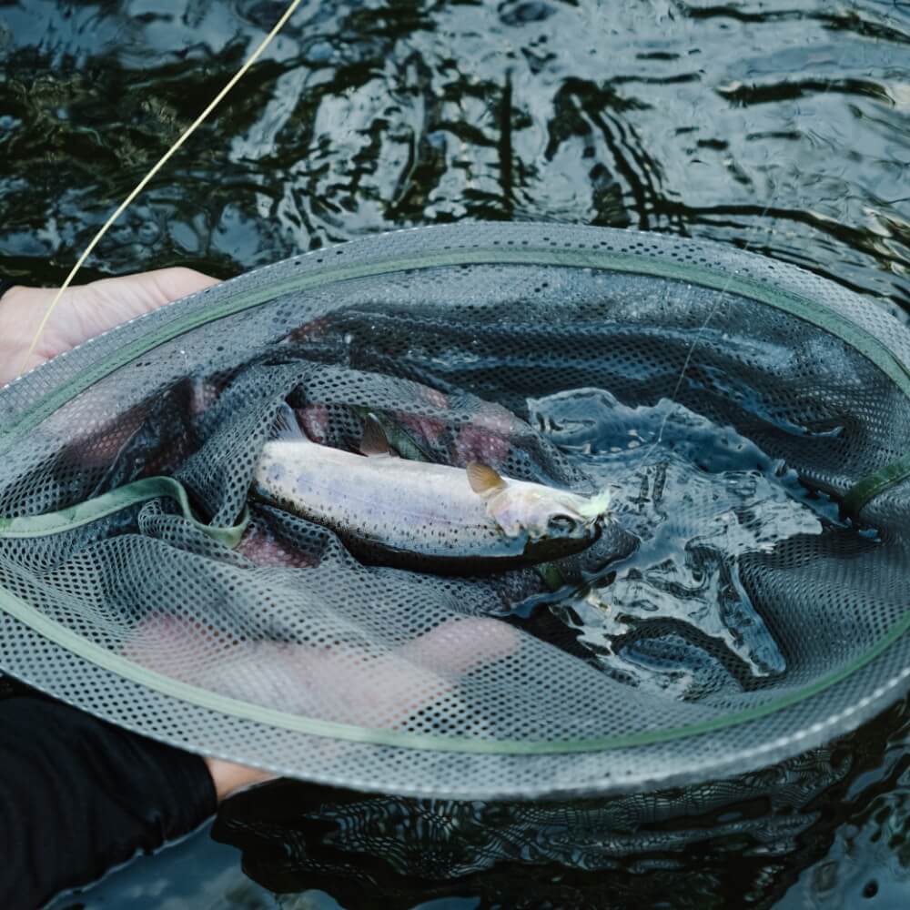 非売品 スノーピーク ポイントギフト 三条六角巻凧 PG-035 ポイントギフト】Snow Peak 三条六角巻凧| スノーピーク(Snow Peak)