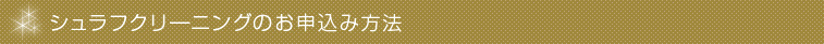 VtN[jO̎t@