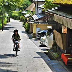 奥嵯峨サイクリング