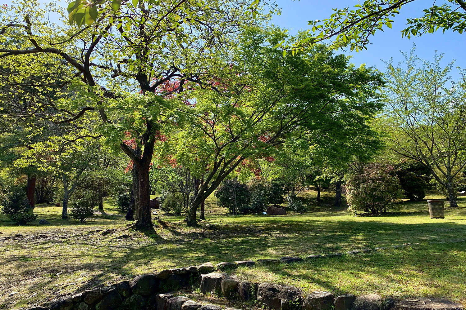 亀山公園