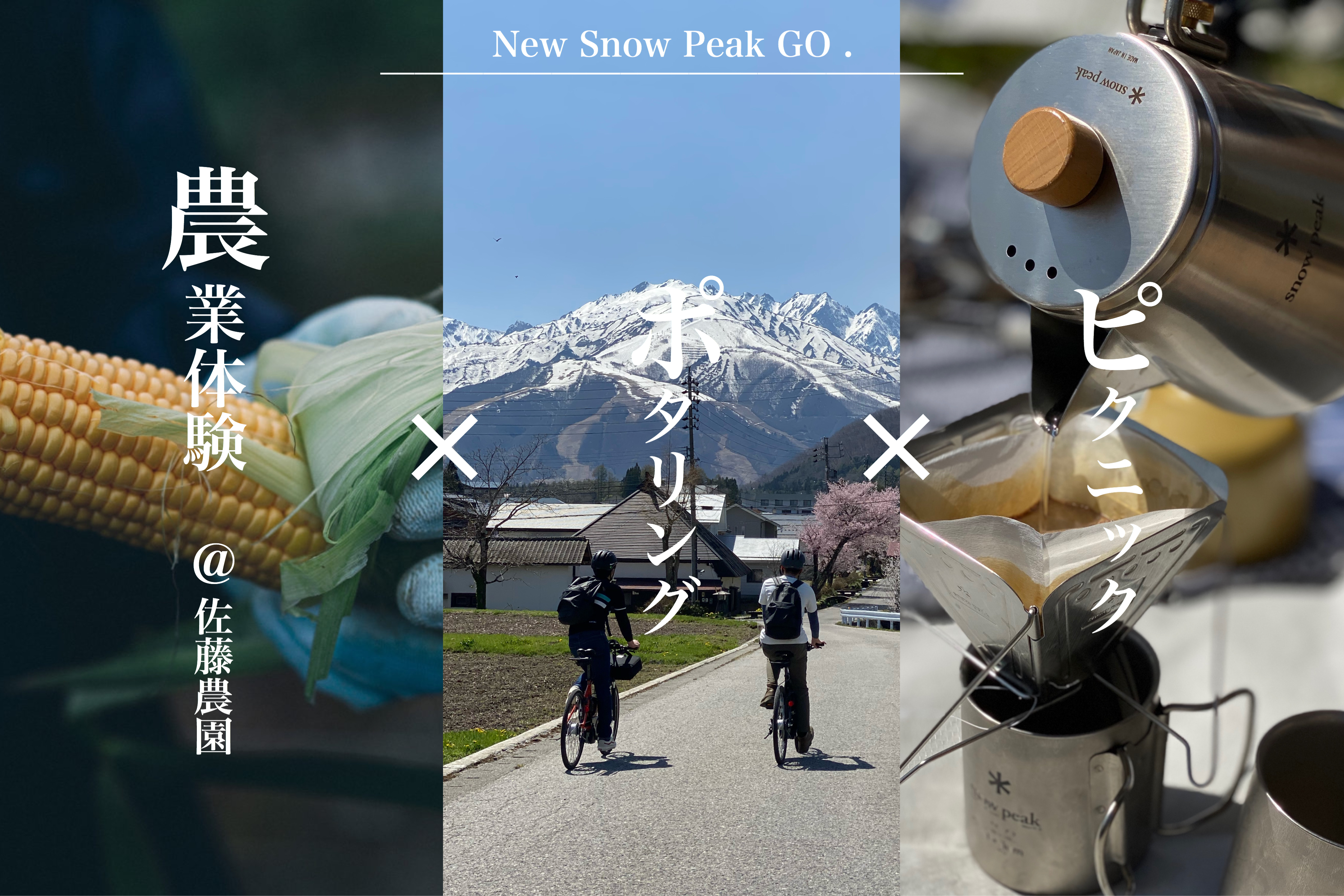 ランドロックアイボリー(TP-671IV) | シェルターの通販