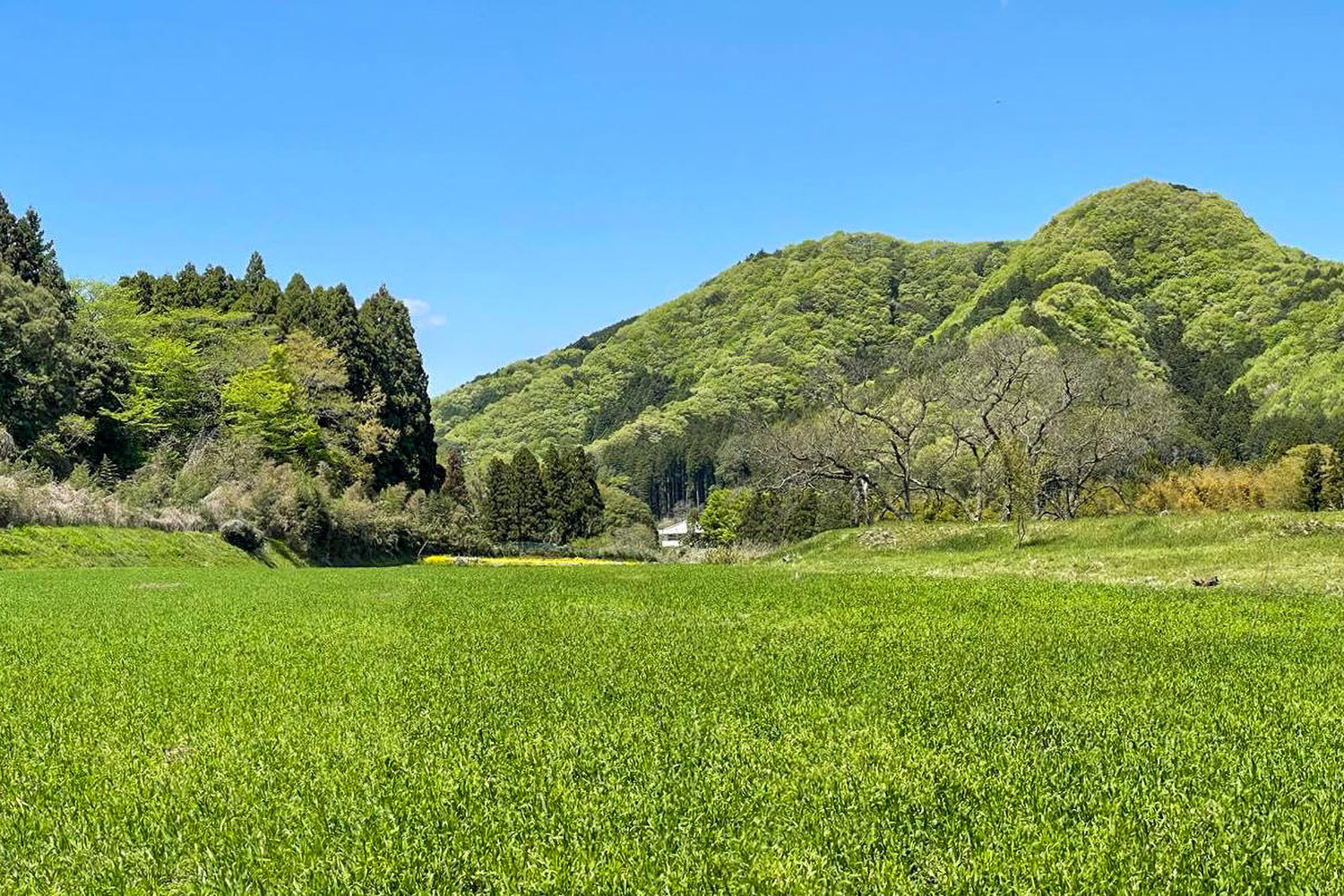 関東初の直営キャンプフィールドが2024年春、栃木県鹿沼市に開業することをお知らせいたします。 | 新着情報 | スノーピーク ＊ Snow Peak